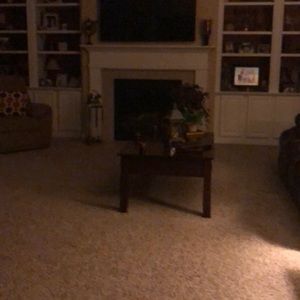 Meet your Posher, Shannon